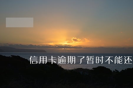 信用卡逾期了暂时不能还款