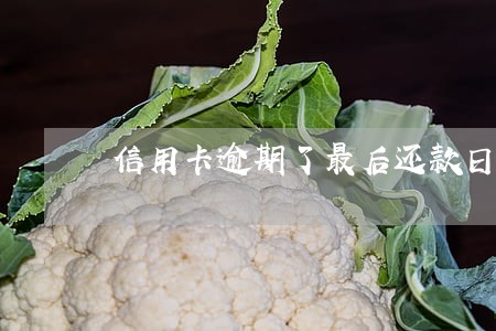 信用卡逾期了最后还款日