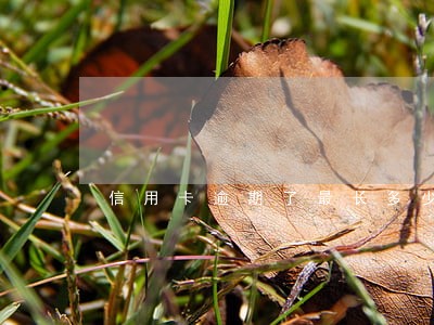 信用卡逾期了最长多少天 信用卡逾期了最长多少天