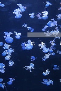信用卡逾期了月月还点可以吗 信用卡逾期了月月还点可以吗