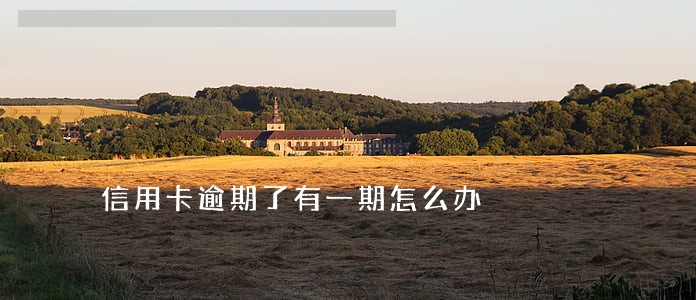 信用卡逾期了有一期怎么办 信用卡逾期了有一期怎么办