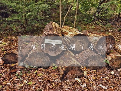 信用卡逾期了有没有免息期