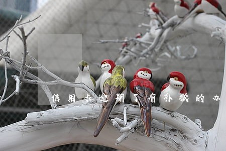 信用卡逾期了有补救的办法吗 信用卡逾期了有补救的办法吗