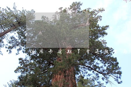 信用卡逾期了有还款意向 信用卡逾期了有还款意向