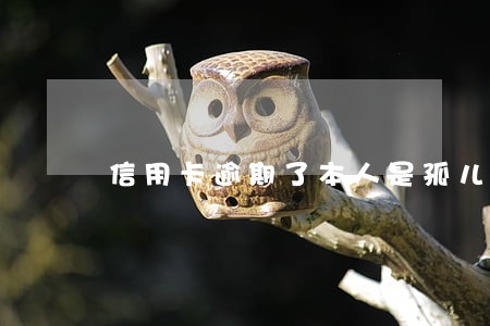 信用卡逾期了本人是孤儿