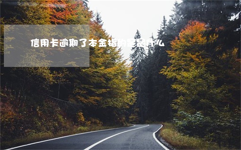 信用卡逾期了本金指的是是什么 信用卡逾期了本金指的是是什么