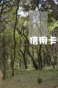 信用卡逾期了本金能不能少 信用卡逾期了本金能不能少