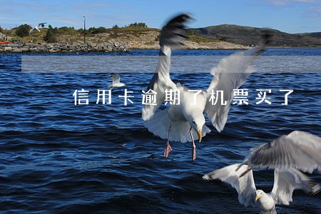 信用卡逾期了机票买了 信用卡逾期了机票买了
