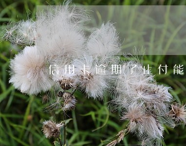 信用卡逾期了止付能解除么 信用卡逾期了止付能解除么