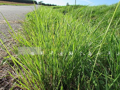 信用卡逾期了每个月还2百 信用卡逾期了每个月还2百