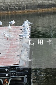 信用卡逾期了每天在还 信用卡逾期了每天在还