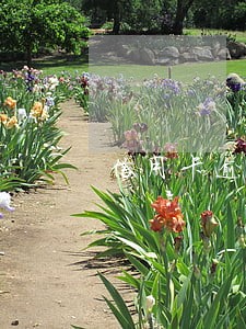 信用卡逾期了每天都在还一点