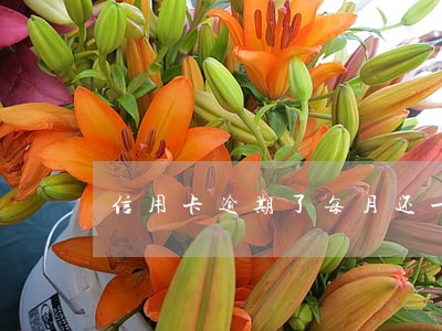 信用卡逾期了每月还一点可以么 信用卡逾期了每月还一点可以么