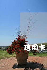 信用卡逾期了每月都还 信用卡逾期了每月都还
