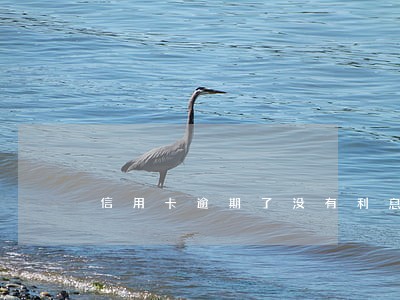 信用卡逾期了没有利息 信用卡逾期了没有利息
