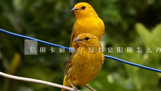 信用卡逾期了没有宽限期怎么办