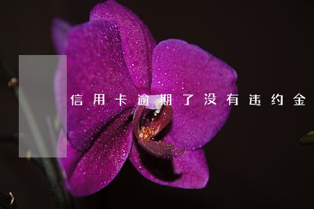 信用卡逾期了没有违约金 信用卡逾期了没有违约金