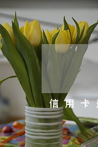 信用卡逾期了没能力还 信用卡逾期了没能力还