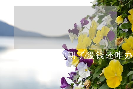 信用卡逾期了没钱还咋办