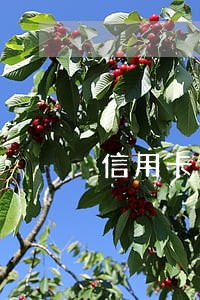 信用卡逾期了法催 信用卡逾期了法催