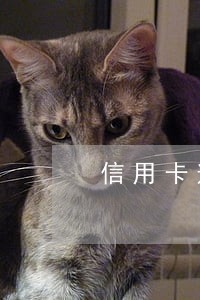 信用卡逾期了法院传票会怎么样 信用卡逾期了法院传票会怎么样