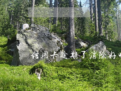 信用卡逾期了消除好吗 信用卡逾期了消除好吗