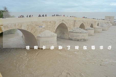 信用卡逾期了现在要求还全款 信用卡逾期了现在要求还全款