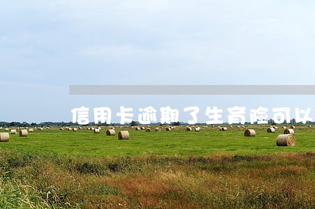信用卡逾期了生育险可以报销吗 信用卡逾期了生育险可以报销吗