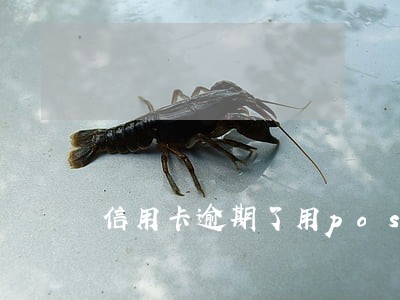 信用卡逾期了用pos机 信用卡逾期了用pos机