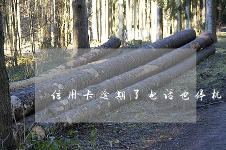 信用卡逾期了电话也停机了 信用卡逾期了电话也停机了