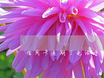 信用卡逾期了电话停用怎么改电话 信用卡逾期了电话停用怎么改电话