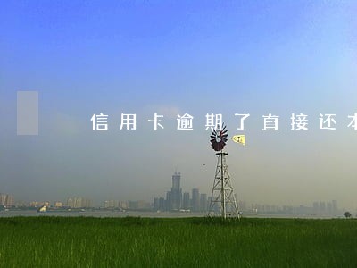 信用卡逾期了直接还本金可以吗 信用卡逾期了直接还本金可以吗