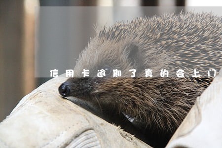 信用卡逾期了真的会上门吗 信用卡逾期了真的会上门吗