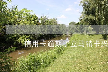信用卡逾期了立马销卡兴业 信用卡逾期了立马销卡兴业