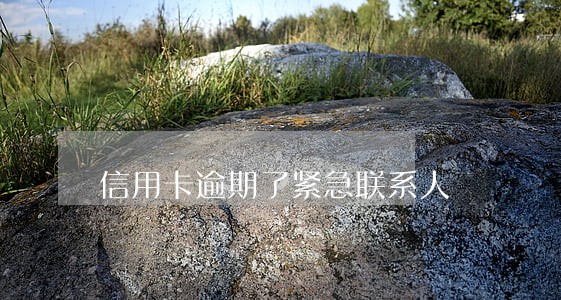 信用卡逾期了紧急联系人 信用卡逾期了紧急联系人