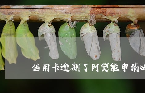 信用卡逾期了网贷能申请吗