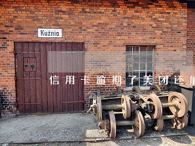 信用卡逾期了美团还能借钱吗