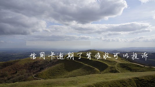 信用卡逾期了背催收可以投诉 信用卡逾期了背催收可以投诉