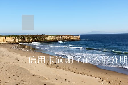 信用卡逾期了能不能分期付款