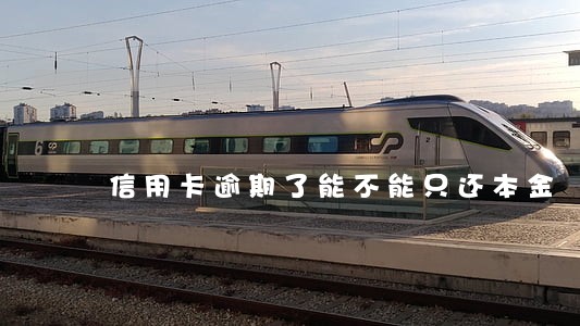 信用卡逾期了能不能只还本金 信用卡逾期了能不能只还本金