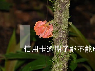 信用卡逾期了能不能申请分期慢慢还 信用卡逾期了能不能申请分期慢慢还