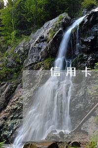 信用卡逾期了能不能考驾照 信用卡逾期了能不能考驾照