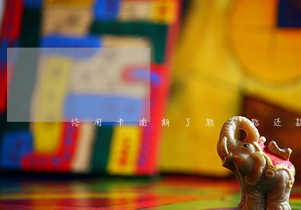 信用卡逾期了能不能还款