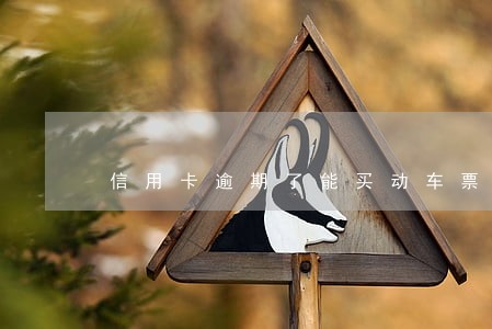 信用卡逾期了能买动车票吗 信用卡逾期了能买动车票吗