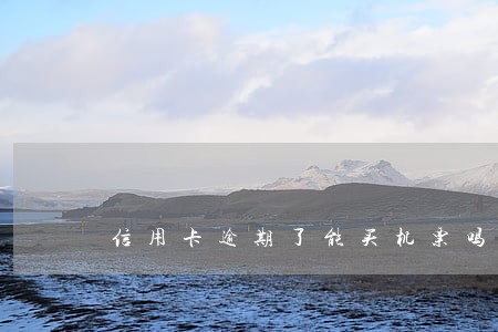 信用卡逾期了能买机票吗