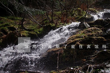 信用卡逾期了能住宾馆吗