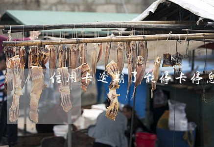 信用卡逾期了能停卡停息
