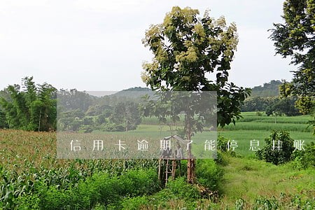 信用卡逾期了能停息挂账嘛 信用卡逾期了能停息挂账嘛
