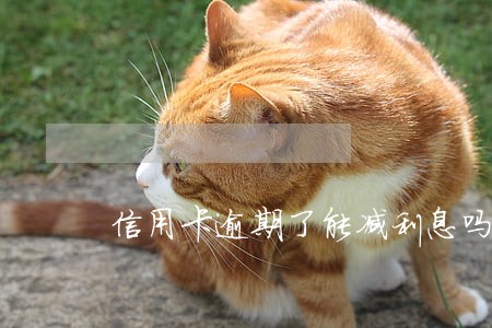 信用卡逾期了能减利息吗