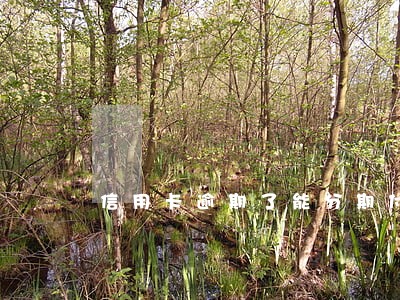 信用卡逾期了能分期付款吗 信用卡逾期了能分期付款吗